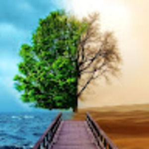 Meet your Posher, Nnaji